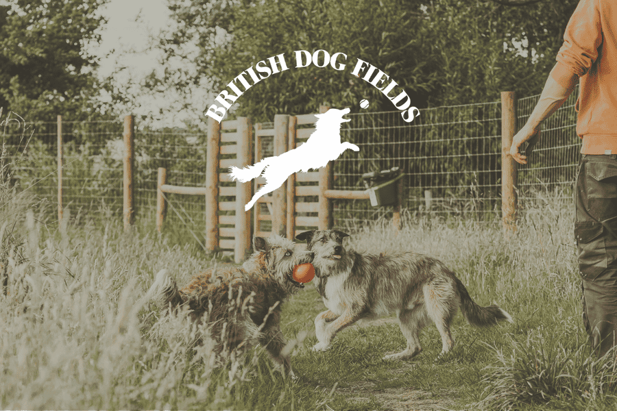 British Dog Fields | For Field Owners and Users logo